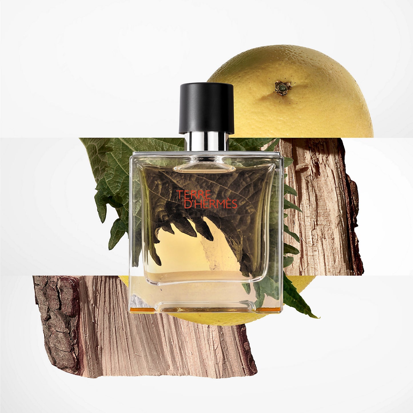 Decant | Άρωμα Hermes - Terre D' Hermes EDT